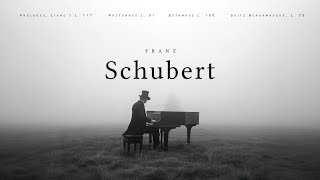 Best of Schubert  Classical Music Gems [upl. by Admana]