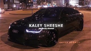 Kaley Sheshe  Perfectly Slowed [upl. by Namia]