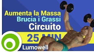 Aumentare la Massa e Bruciare i Grassi  Allenamento a Circuito [upl. by Ettelrac]