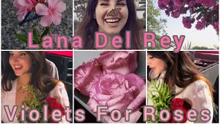 🌸Lana Del Rey—Violets For Roses🌸 fan video [upl. by Lleraj]