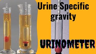 UrinometerSpecific gravity of Urine [upl. by Tremaine]