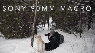 SNOWY HIKE with the A7III  Sony 90mm F28 MACRO [upl. by Nehr]