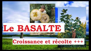 Le BASALTE  Récoltes et fertilité   Légumes et plantes au top [upl. by Irisa]