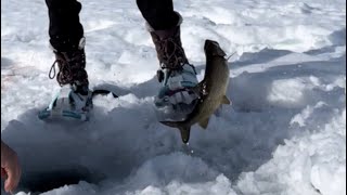 Maine Ice Fishing SCHOODIC Lake [upl. by Charbonnier243]