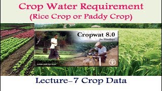 CropWAT 80 Crop Data for Paddy Crop  7 [upl. by Anatnom]