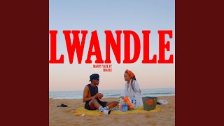 LWANDLE feat SBAHLE [upl. by Nylde452]