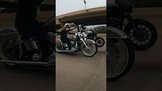 🔱🔱 harleydavison softail sportster vicla motorcycle harleys [upl. by Rim]