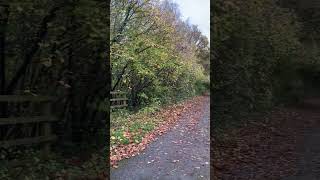 Walking accross the 8 arch Midford Viaduct on the Bath Green Park to Bournemouth old railway line [upl. by Assilym69]