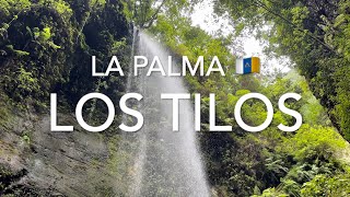 Cascada De Los Tilos La Palma 4K [upl. by Hilde105]