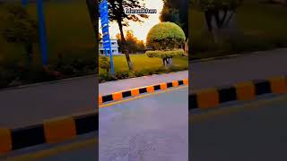 NUML university foryou medicalstudent explorethebeautyofpakistan viralvideo university doctor [upl. by Agnola]