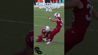 Arizona Cardinals Game Winning Field Goal Vs Miami Dolphins youtubeshorts nfl [upl. by Nahsaj]