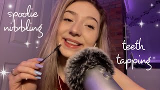 ASMR spoolie nibbling  teeth tapping🌟major mouth sounds [upl. by Adekahs749]