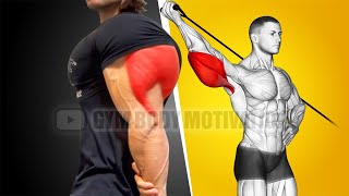 Best Triceps Workout at Gym with Cable Only [upl. by Akerdnahs]