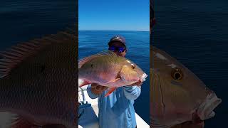 MaritimeExpeditions COPS Wanted MY FISH patchreef floridakeys [upl. by Riess]