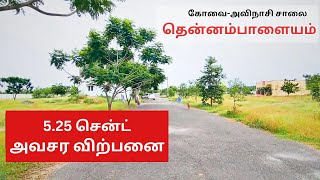 Land urgent Resale Avinashi Road Thennampalayam  Land for sale coimbatore  Plot sale Avinashi Road [upl. by Ikkela215]