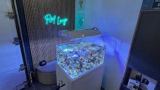 Mein Meerwasseraquarium HQI LichtLED Alles gutLetztes Update 2024 [upl. by Nylakcaj]