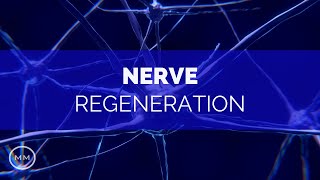 Nerve Regeneration  Repair Nerve Connections  Activate Growth  Binaural Beats  Meditation Music [upl. by Dhu]