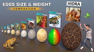 Eggs Weight Comparison 3D  The Heaviest Egg 2023 [upl. by Matronna]