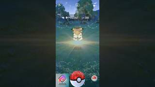 Ph D Pikachu  PokéStop Showcase Platinum medal phdpikachu pokéstopshowcaseplatinummedal viral [upl. by Eiclek]