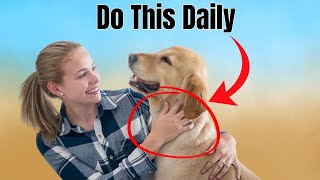 15 Things Your Dog Absolutely Loves Transform Their Life Today [upl. by Trager]