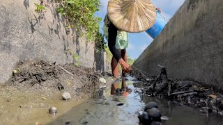 Pangunguha ng bisukol at freshwater mussel [upl. by Esej]