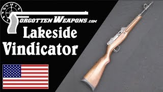 Lakeside Vindicator BF1 A BeltFed 22 Plinker [upl. by Dee Dee914]