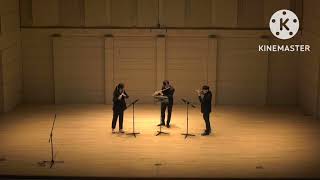 Laszlo Zempleni Trio for Flutes [upl. by Eynaffit]