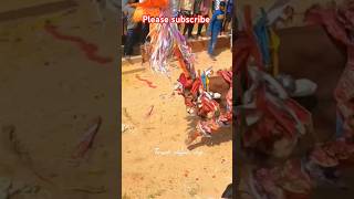 Power full Bull 🔥 chittoorjallikattu public youtube andhrajallikattu viralshorts viralvideos [upl. by Asiled]