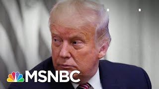 Trump Returns To Culture Wars Warning Of Suburban Invasion  The 11th Hour  MSNBC [upl. by Sarilda]