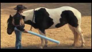 Horse Training The Best way to Desensitize a Horse Part 1 of 3 with Mike Hughes Auburn California [upl. by Cyd]