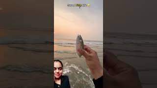 Saved fish life ❤️😍 fishing fish beach ocean vlog music cover song singer coversongshorts [upl. by Redyr]