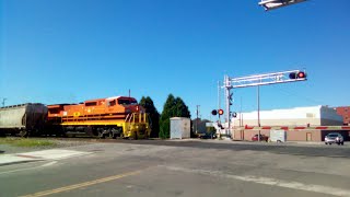 Afternoon EASTBOUND FWLI CFE Grain Train 10022024 [upl. by Nivag890]