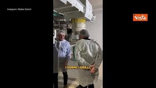 Salvini con cuffietta e camice nel pastificio «Alla faccia della farina dinsetti viva la [upl. by Cleopatra]