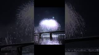 Korea Seoul Fireworks 🎇 Happy new year fireworks countdown2024 2024fireworks happynewyear2024 [upl. by Grath]