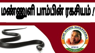 மண்ணுளி பாம்பின் ரகசியம்   ujiladevi tamil [upl. by Deutsch967]