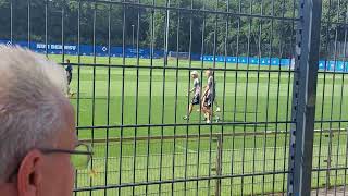 Alle wieder auf zur nächsten Trainingseinheit Nur der HsvHeidenheim kann kommen [upl. by Rento702]