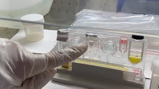 How to perform a RTPCR test  Actual Demonstration step by step of a Sputum sample  Explained easy [upl. by Friend344]