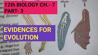 Class 12 biology chapter 7Part 3Evidences for evolutionStudy with Farru [upl. by Kris585]