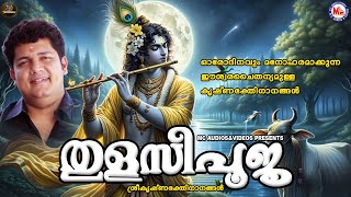 ഓരോദിനവും മനോഹരമാക്കുന്ന ഈശ്വരചൈതന്യമുള്ള കൃഷ്ണഭക്തിഗാനങ്ങൾ  Sree Krishna Songs Malayalam [upl. by Corrie]