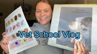 Vet School Vlog  2nd year vet student [upl. by Birch921]