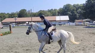 Gin Joint  Fair Hill Thoroughbred Show  JuniorAmateur Hunter over fences 91424 [upl. by Elnukeda]