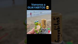 🏝Guayabitos 🇲🇽😎 playa lugaresparavisitar mexico guayabitos [upl. by Marcella169]