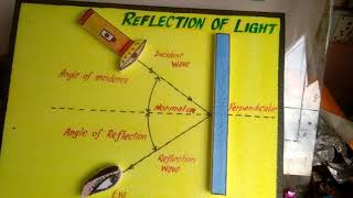 A2Z project and model palwal SciTLM model of Reflection of Light for Sci Bed [upl. by Irrabaj]