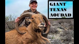 Giant Texas Aoudad Sheep Hunt  Once In A Lifetime Ram [upl. by Rahr510]