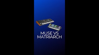 MOOG Muse vs Matriarch Which One Is For You [upl. by Trella]