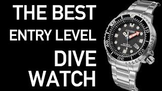 What is the BEST Entry Level Dive Watch  Citizen Promaster Diver BN0150 Review [upl. by Blythe]