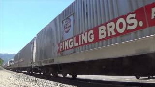 HD Union Pacific Action at Pleasanton featuring the RBBX Circus Train 90313 [upl. by Ahsimaj]