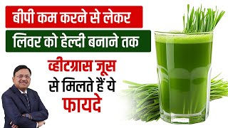 बीपी कम करने से लेकर लिवर को हेल्दी बनाने तक Wheatgrass Juice से मिलते हैं ये फायदे   SAAOL [upl. by Xavier984]