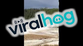 Man Illegally Walks Onto Old Faithful Geyser  ViralHog [upl. by Swords204]