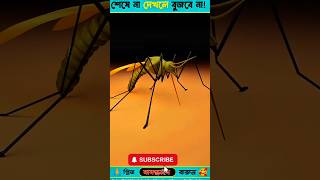 আশা কিভাবে জন্মগ্রহণ করে আসুন দেখেন🐜😱🤔 reelsvideo shortvideo facts foryou like views views [upl. by Inge707]